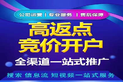 深入解析SEM竞价优化的核心技术与案例